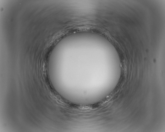 X0000067930619200604131108