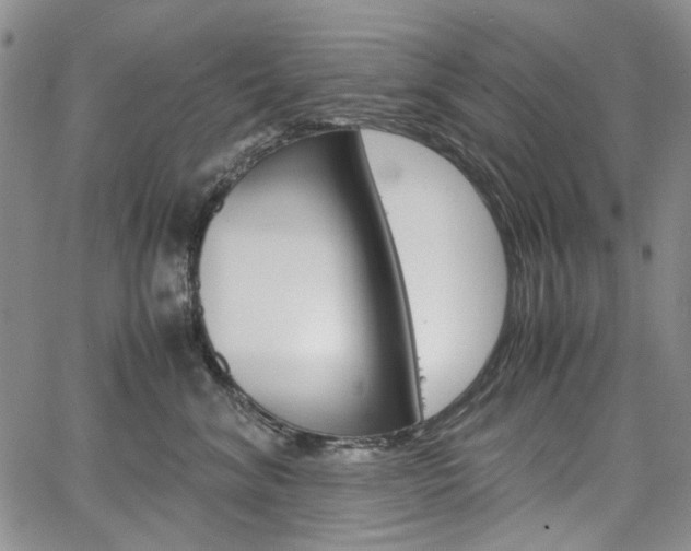 X0000067930620200604131108