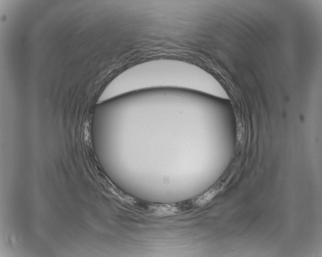 X0000067930621200604131108