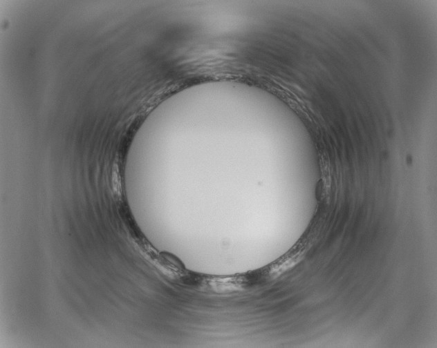 X0000067930622200604131108