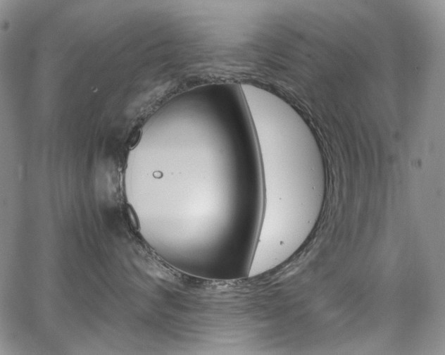 X0000067930624200604131108