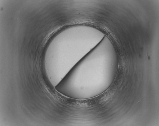 X0000067930640200604131107