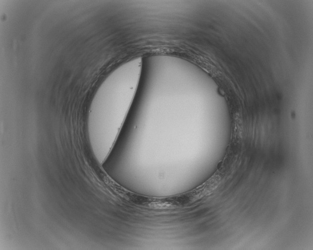 X0000067930650200604131107
