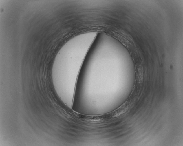 X0000067930653200604131107