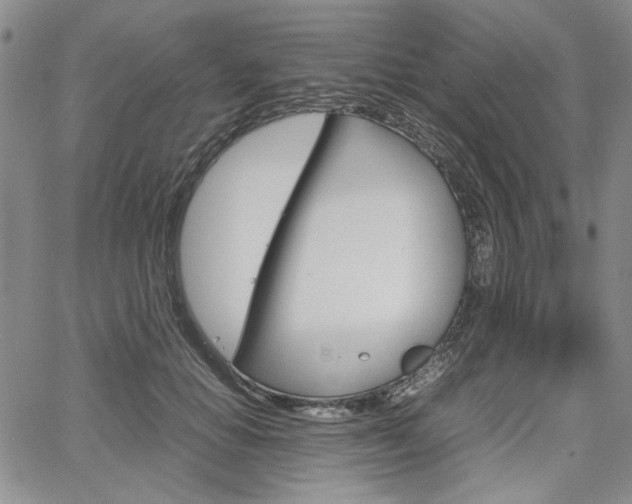 X0000067930654200604131107