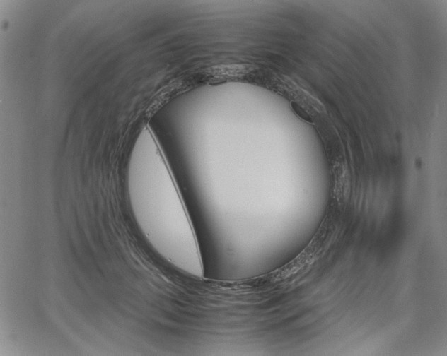 X0000067930655200604131107