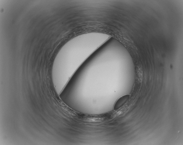 X0000067930657200604131107