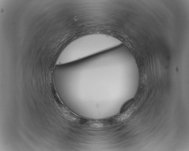 X0000067930658200604131107