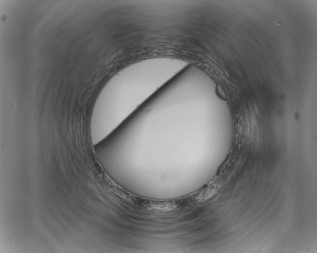 X0000067930659200604131107