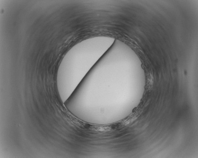 X0000067930663200604131107