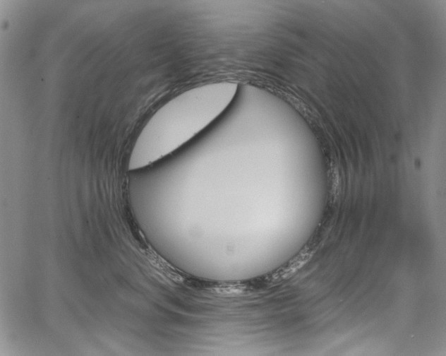 X0000067930668200604131107