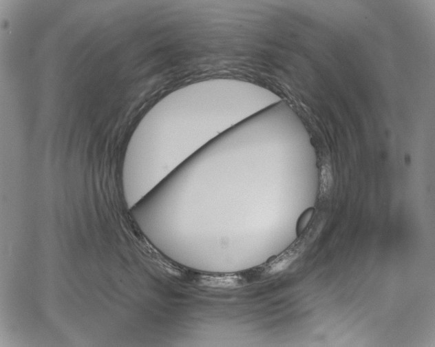 X0000067930671200604131108