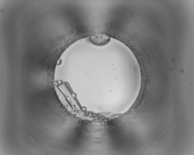 X0000067930672200604131108