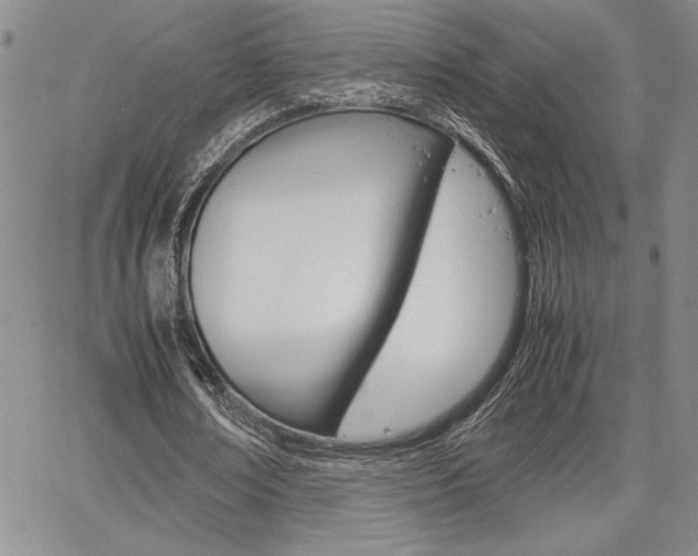 X0000067930674200604131107
