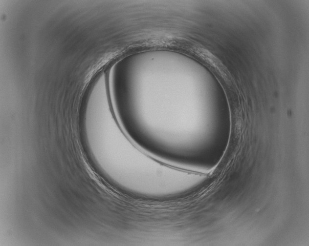X0000067930677200604131107