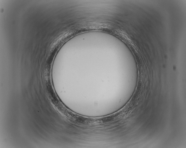 X0000067930683200604131107