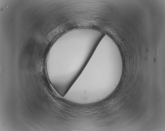 X0000067930687200604131107