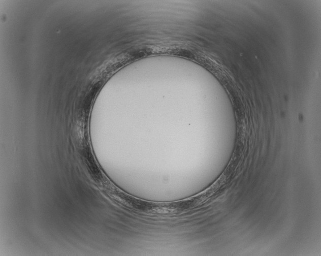 X0000067930691200604131106