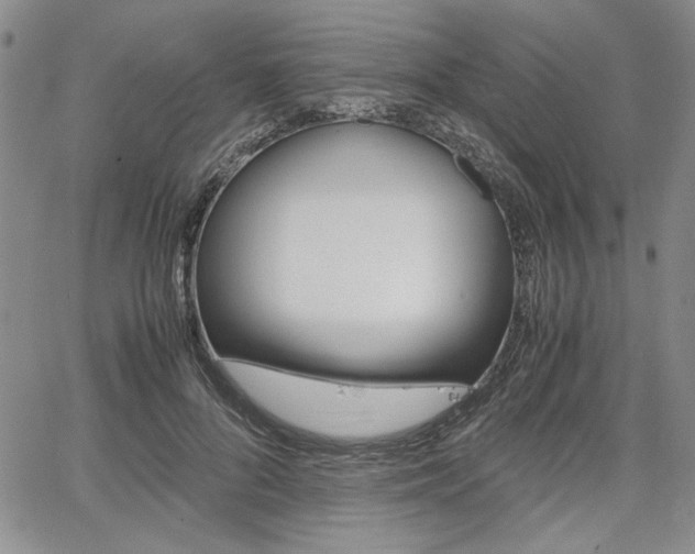 X0000067930696200604131106