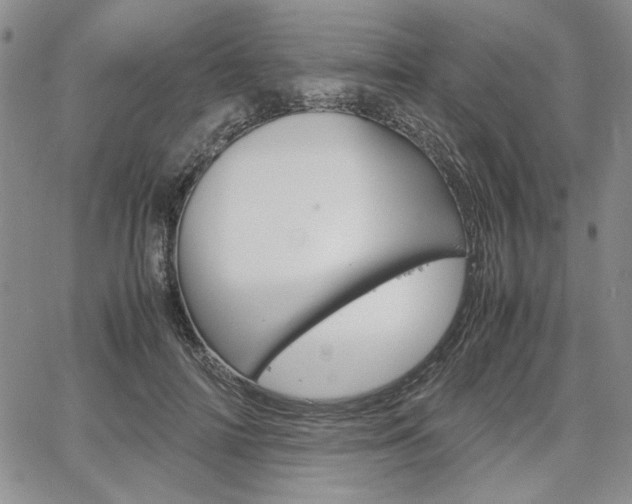 X0000067930698200604131106