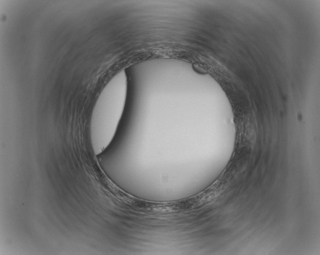 X0000067930702200604131106
