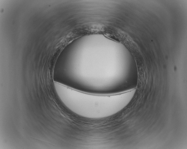 X0000067930704200604131106