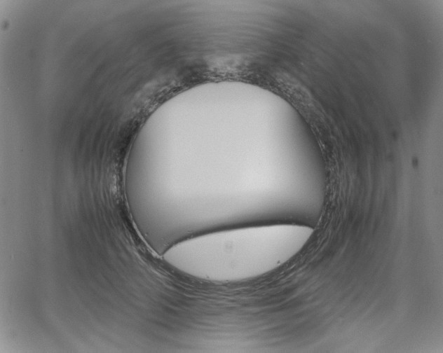 X0000067930706200604131106