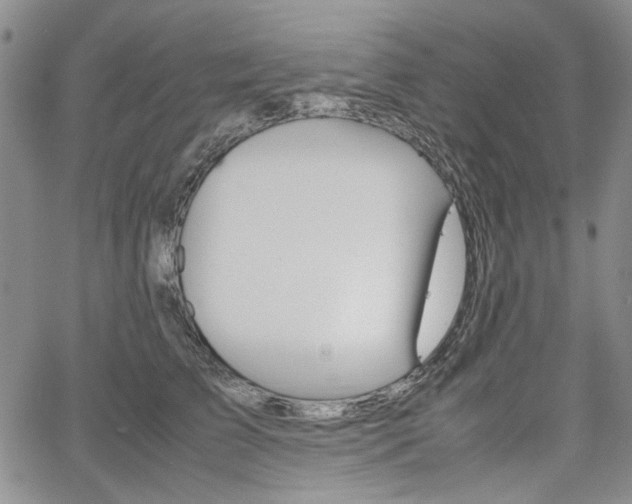 X0000067930709200604131106