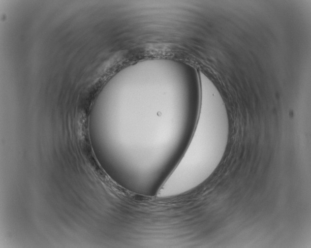X0000067930712200604131106
