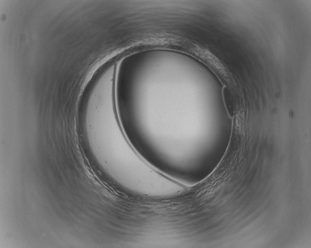 X0000067930724200604131105