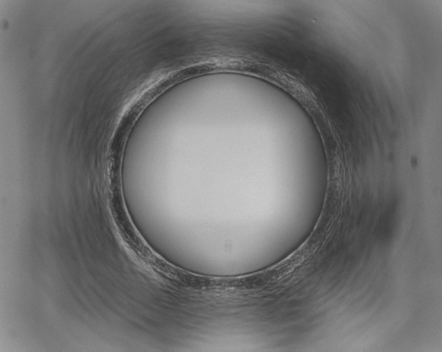 X0000067930730200604131105