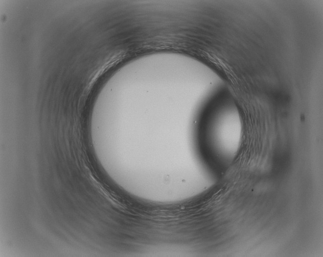 X0000067930735200604131105
