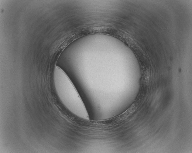 X0000067930746200604131106