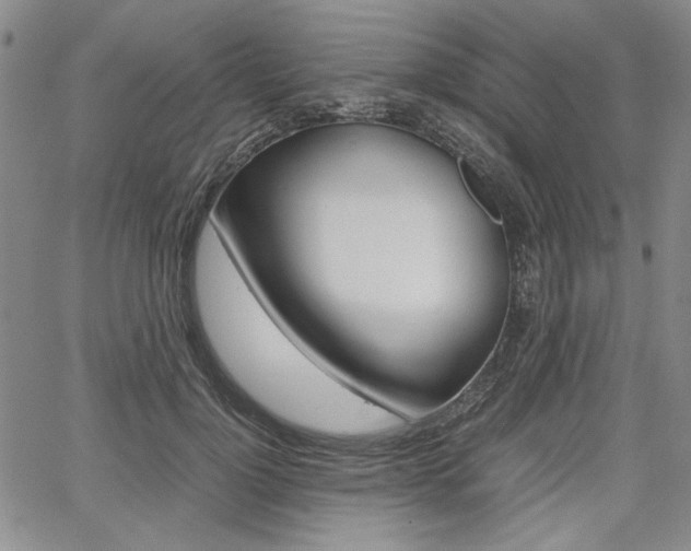X0000067930748200604131106