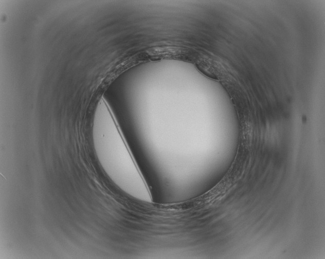 X0000067930751200604131106