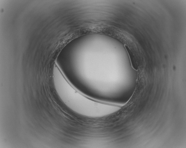X0000067930752200604131106