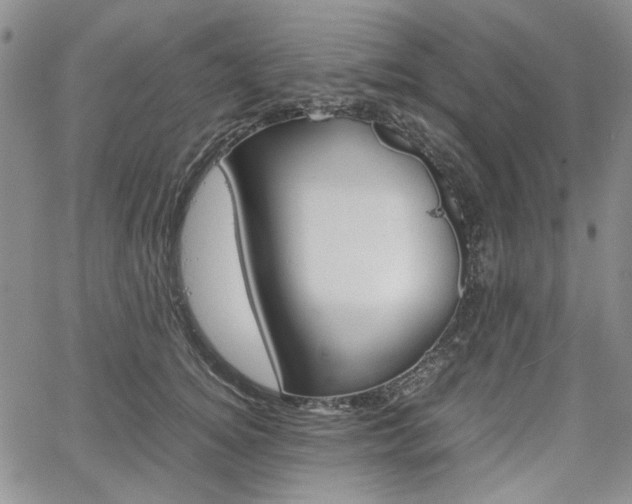 X0000067930756200604131106