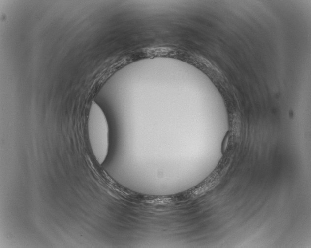 X0000067930761200604131106