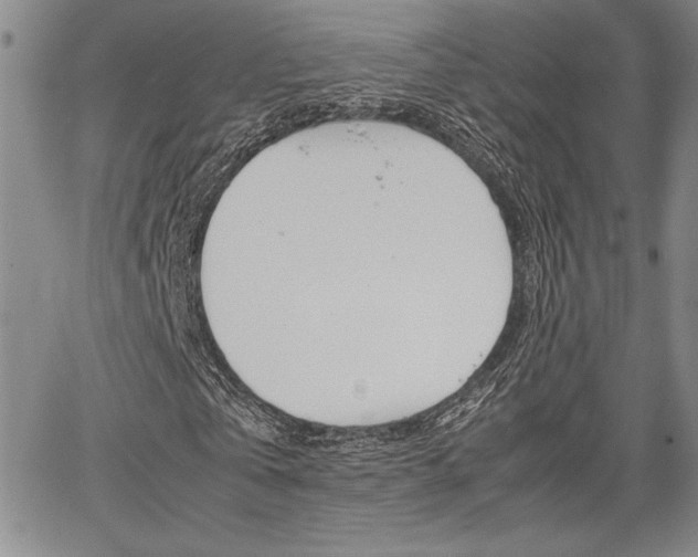 X0000067930769200604131105
