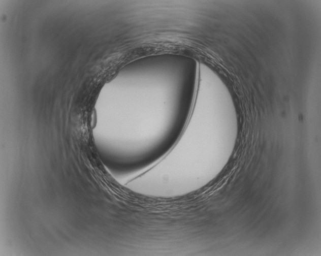 X0000067930771200604131105