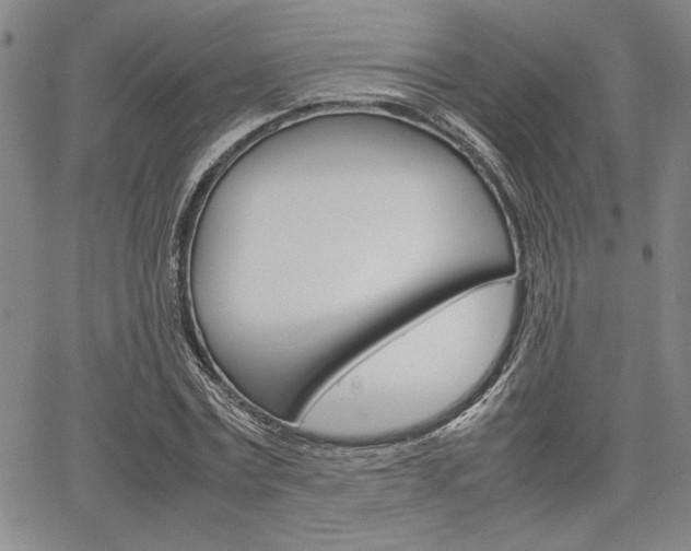 X0000067930779200604131105