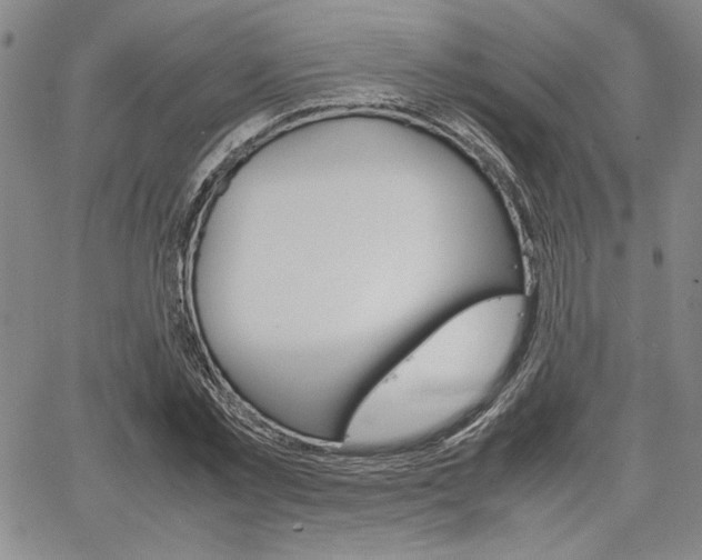 X0000067930781200604131105
