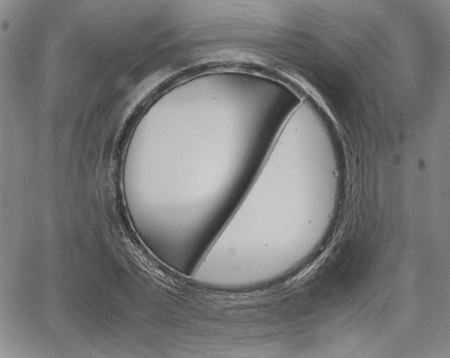 X0000067930783200604131105