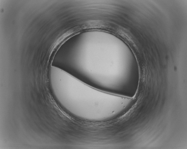 X0000067930786200604131105