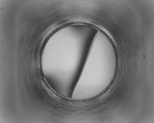 X0000067930791200604131105