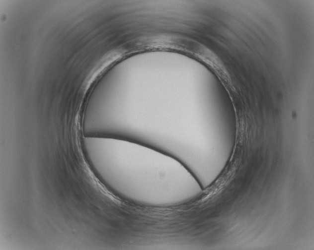 X0000067930798200604131105