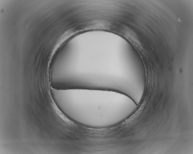 X0000067930800200604131105