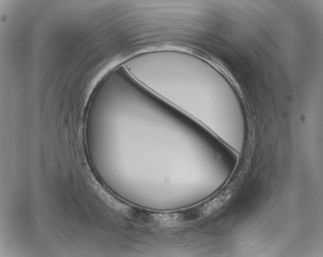 X0000067930805200604131105