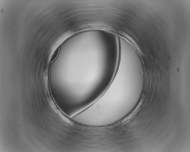 X0000067930812200604131105