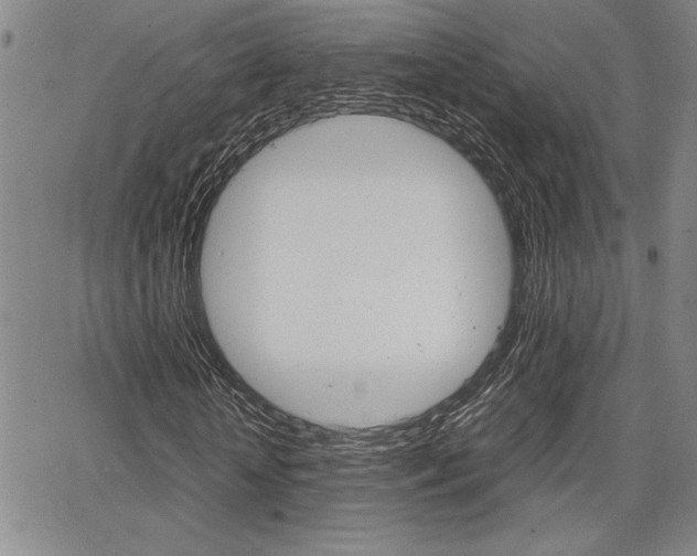 X0000067930818200604131104
